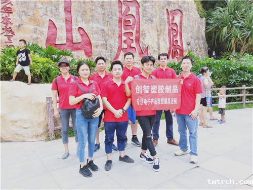 注塑模具有限公司 注塑模具有限公司