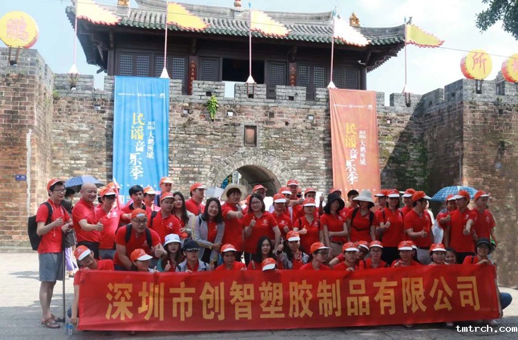 创智塑胶模具厂 创智塑胶模具厂