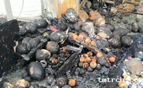 火灾现场被烧焦的水果